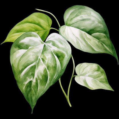 Set de 3 cuadros  pintura por número  Hojas de 20x20