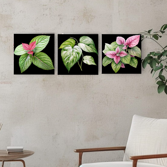 Set de 3 cuadros  pintura por número  Hojas de 20x20