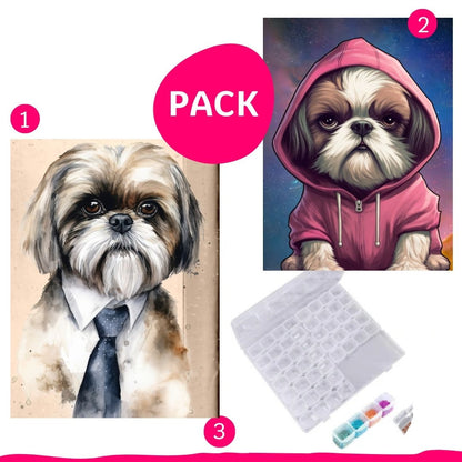 Pack ShihTzu 30x40 con Bastidor