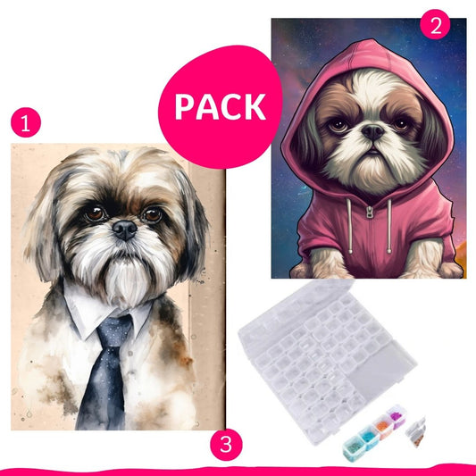 Pack ShihTzu 30x40 con Bastidor