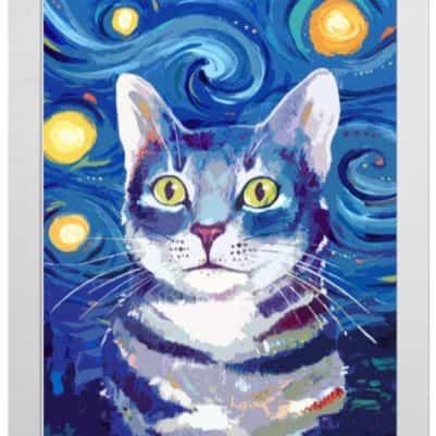 Pintura con Diamantes Gato Starry Night 30x40 con Marco