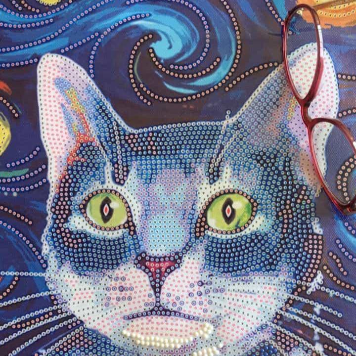 Pintura con Diamantes Gato Starry Night 30x40 con Marco