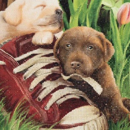 Pintura con Diamantes Perro Zapatilla 20x25